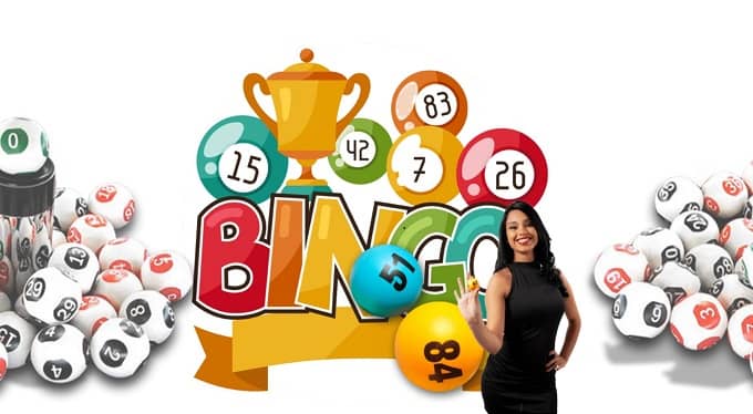 How to pick the best casino bingo site for newbies?