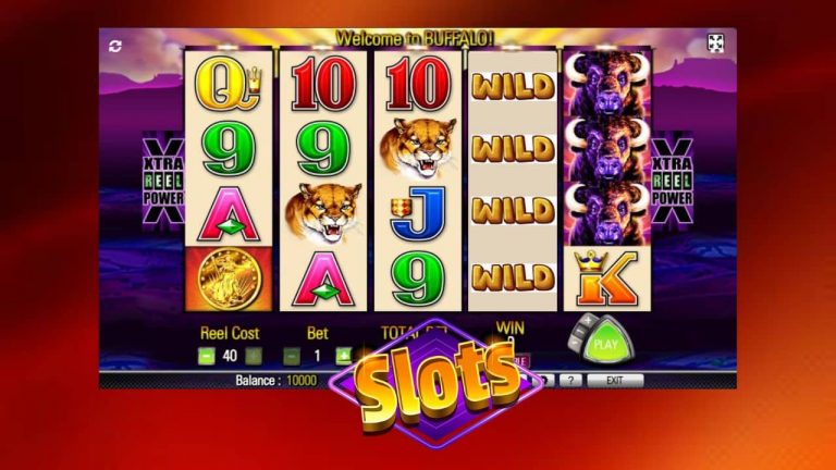 Why you should play slots with a wild symbol?