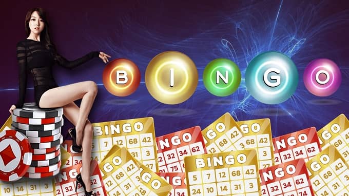 How to choose the best casino bingo website?