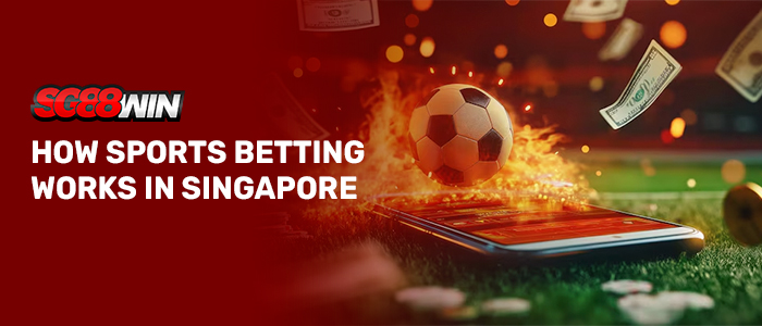 Promotional banner for SG88WIN featuring a split background design: a solid deep red color block on the left and a dynamic, warm-toned stadium sports scene on the right. On the red left side, the "SG88WIN" logo is displayed in bold red, white, and black, situated directly above the large, white, bold text: "HOW SPORTS BETTING WORKS IN SINGAPORE". On the right side, a smartphone lies flat on a green grass field, with a soccer ball floating above it enveloped in dramatic orange flames. The background is filled with floating United States dollar bills, warm bokeh light effects, and falling coins.
